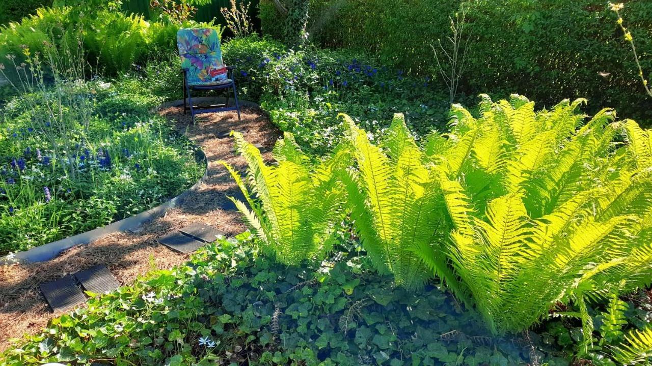 Mitten Im Seenland Und Spreewaldnah, Schoener Garten ชตอร์โคว์ ภายนอก รูปภาพ