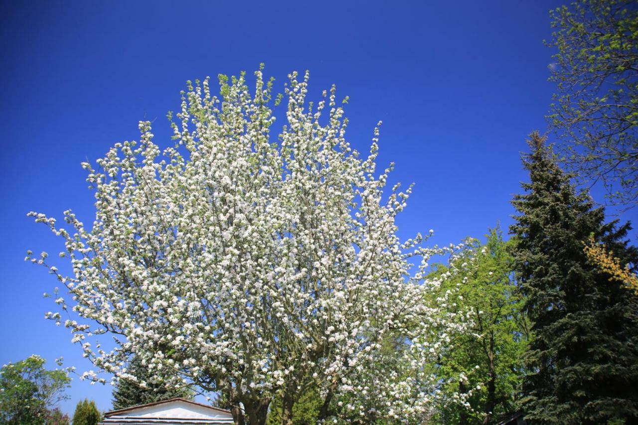 Mitten Im Seenland Und Spreewaldnah, Schoener Garten ชตอร์โคว์ ภายนอก รูปภาพ