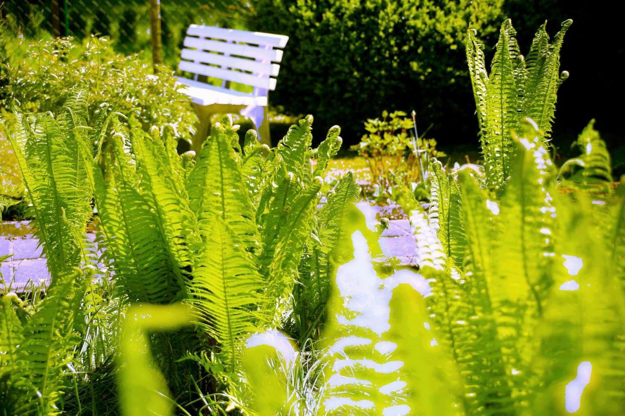 Mitten Im Seenland Und Spreewaldnah, Schoener Garten ชตอร์โคว์ ภายนอก รูปภาพ