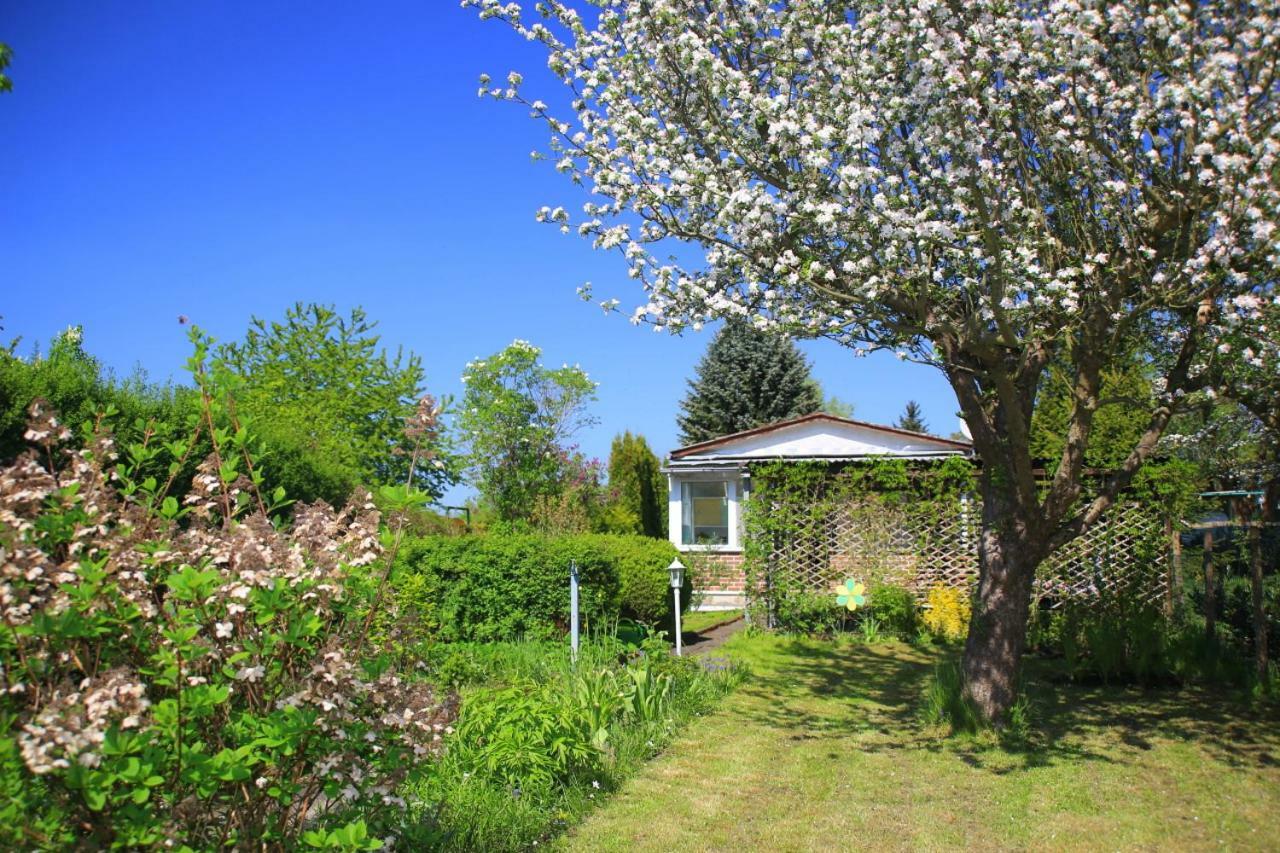 Mitten Im Seenland Und Spreewaldnah, Schoener Garten ชตอร์โคว์ ภายนอก รูปภาพ