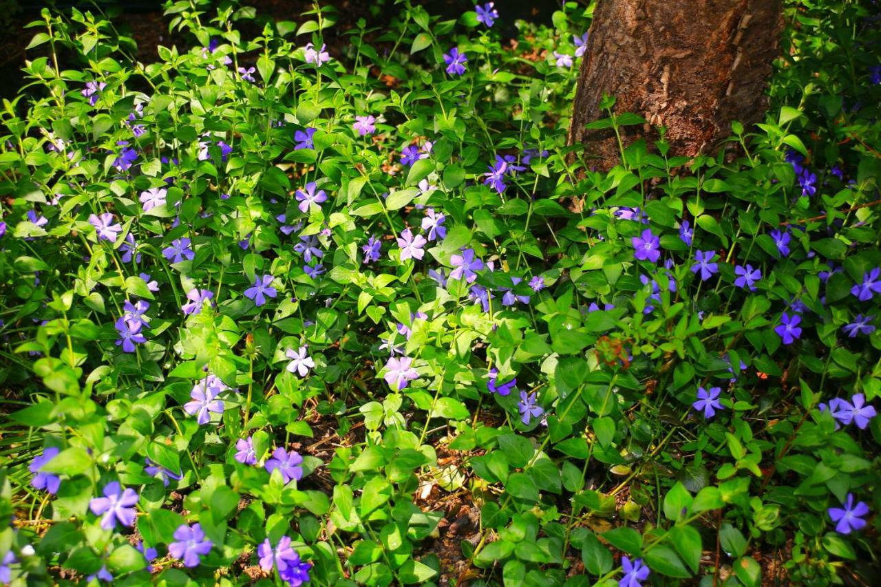 Mitten Im Seenland Und Spreewaldnah, Schoener Garten ชตอร์โคว์ ภายนอก รูปภาพ